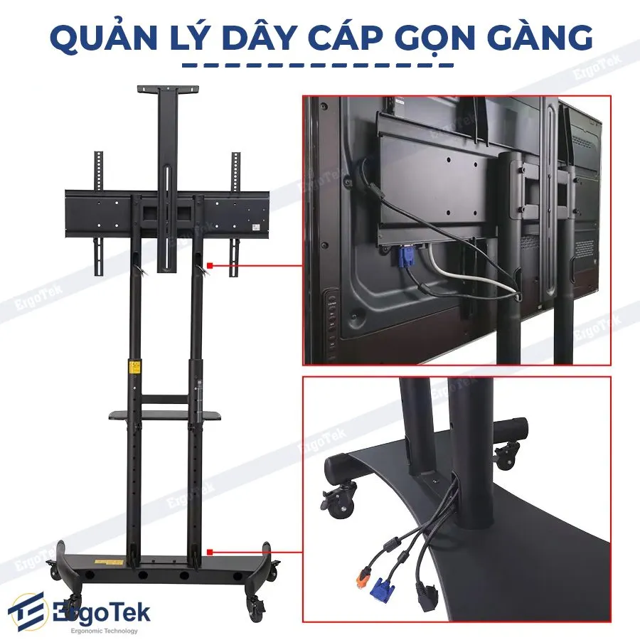 Giá Treo Tivi Di Động Ergotek E1355 (32-70 inch) - ảnh 8