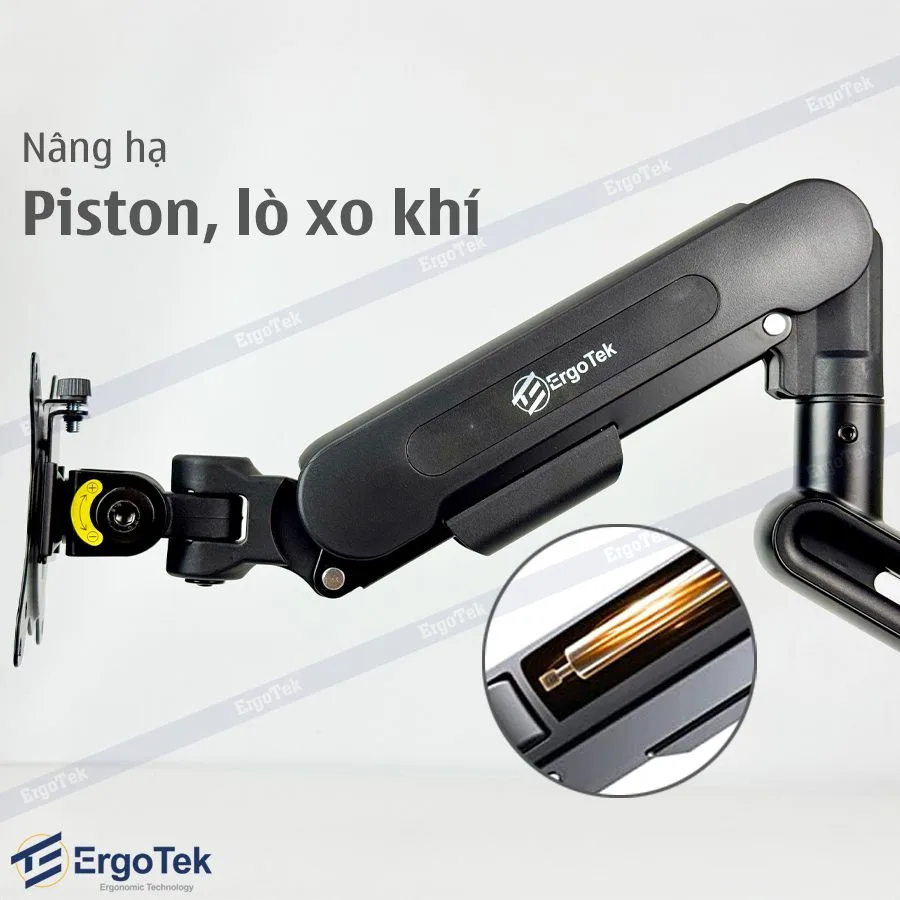 VGT-ERG-EZ100PRO - ảnh 2